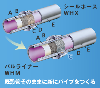 適用範囲