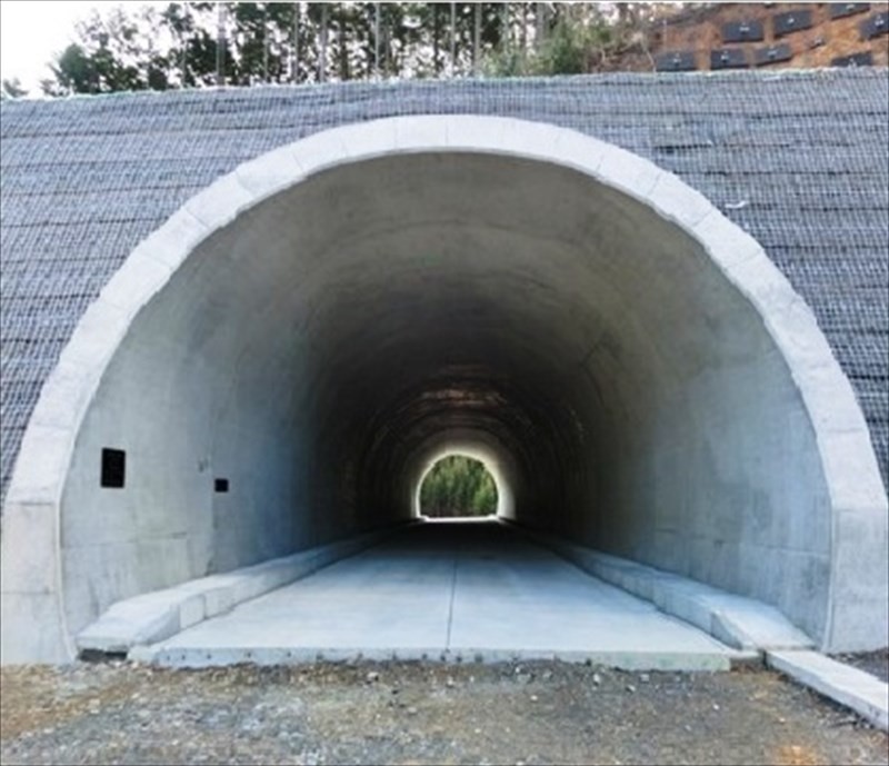 大門口トンネル